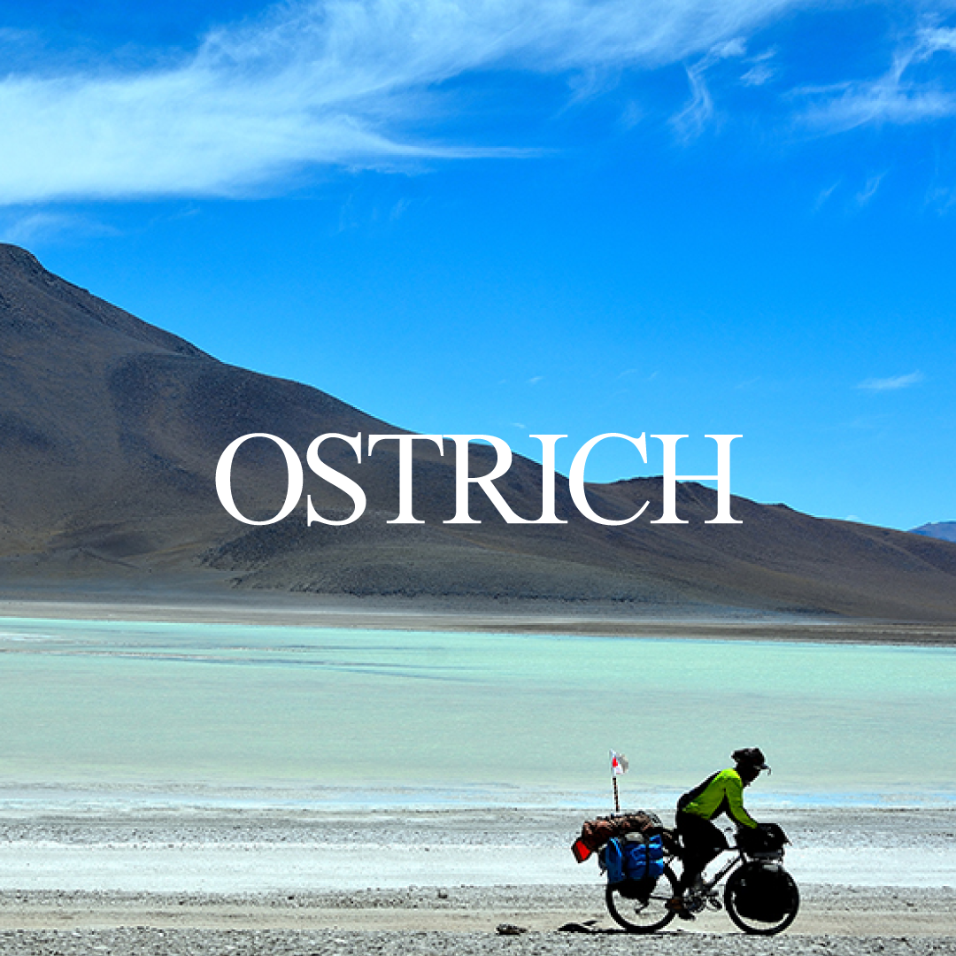 OSTRICH（オーストリッチ） 